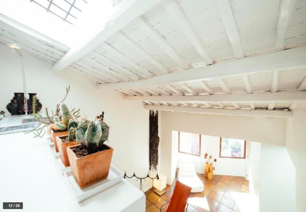 Luxury Art Apartment In Trastevere With Terrace روما المظهر الخارجي الصورة